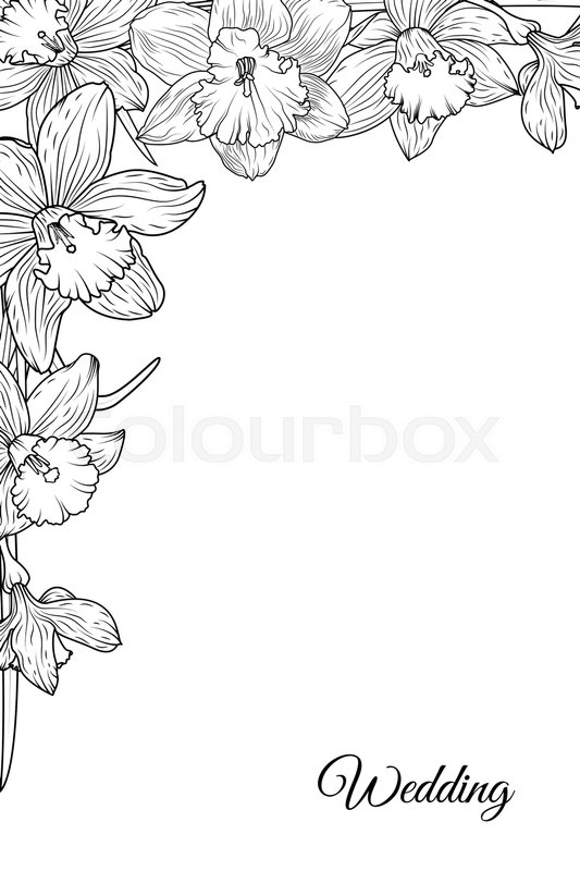 533x800 Narcissus Daffodil Blooming Flowers Corner Border Frame Template - Flower Frame Sketch