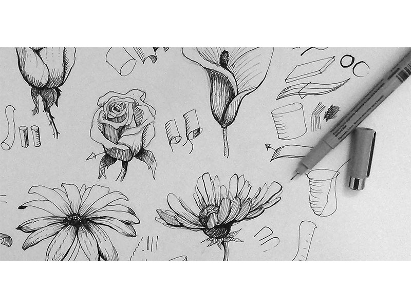 800x600 How Do You Draw A Flower Garden - Flower Garden Sketch