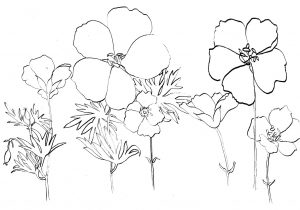 Flower Garden Sketch at PaintingValley.com | Explore collection of ...