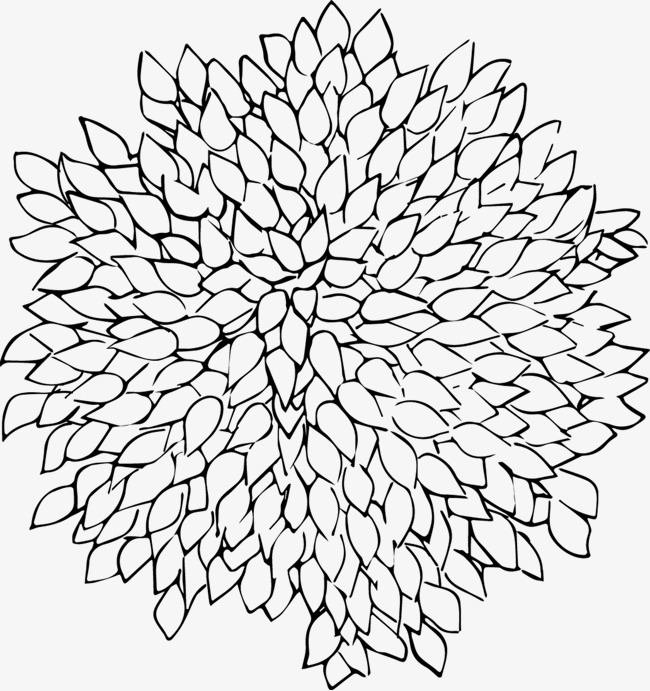 650x691 Pattern Flower, Pattern, Culture And Art, Flower Sketch Png Image - Flower Pattern Sketch