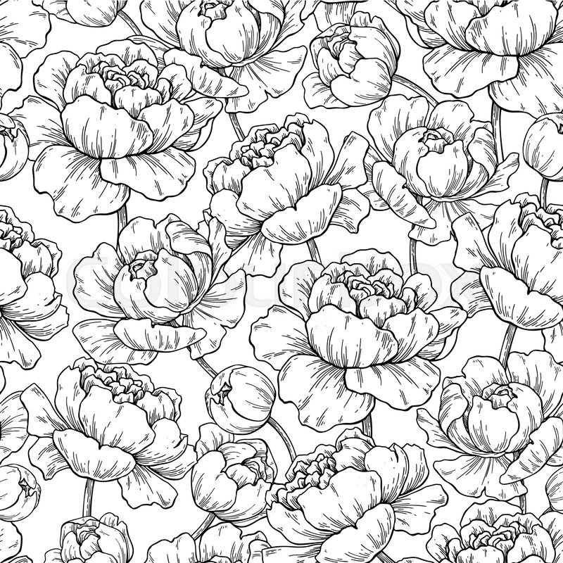 800x800 Peony Flower Seamless Pattern Drawing. Vector Hand Drawn Engraved - Flower Pattern Sketch