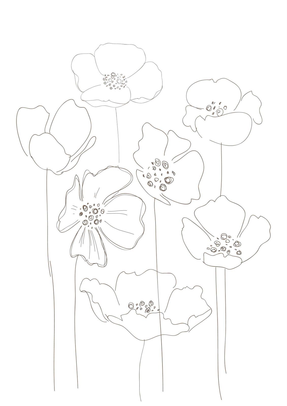 1131x1600 Poppies Flowers In 2018 Drawings, Floral Drawing - Flower Pattern Sketch