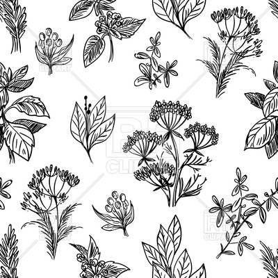 400x400 Sketch Herbs And Flowers Hand Drawn Seamless Pattern Vector Image - Flower Pattern Sketch