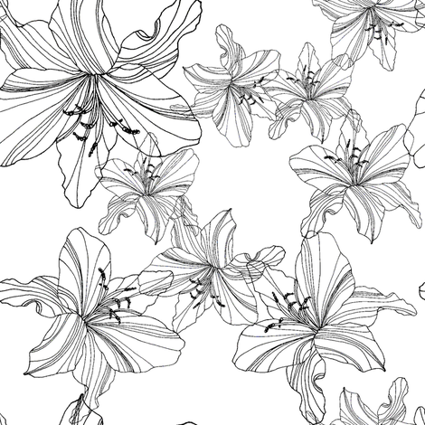 470x470 Transparent Flower Sketch - Flower Pattern Sketch