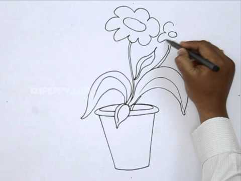480x360 How To Draw A Flower Pot - Flower Pot Sketch