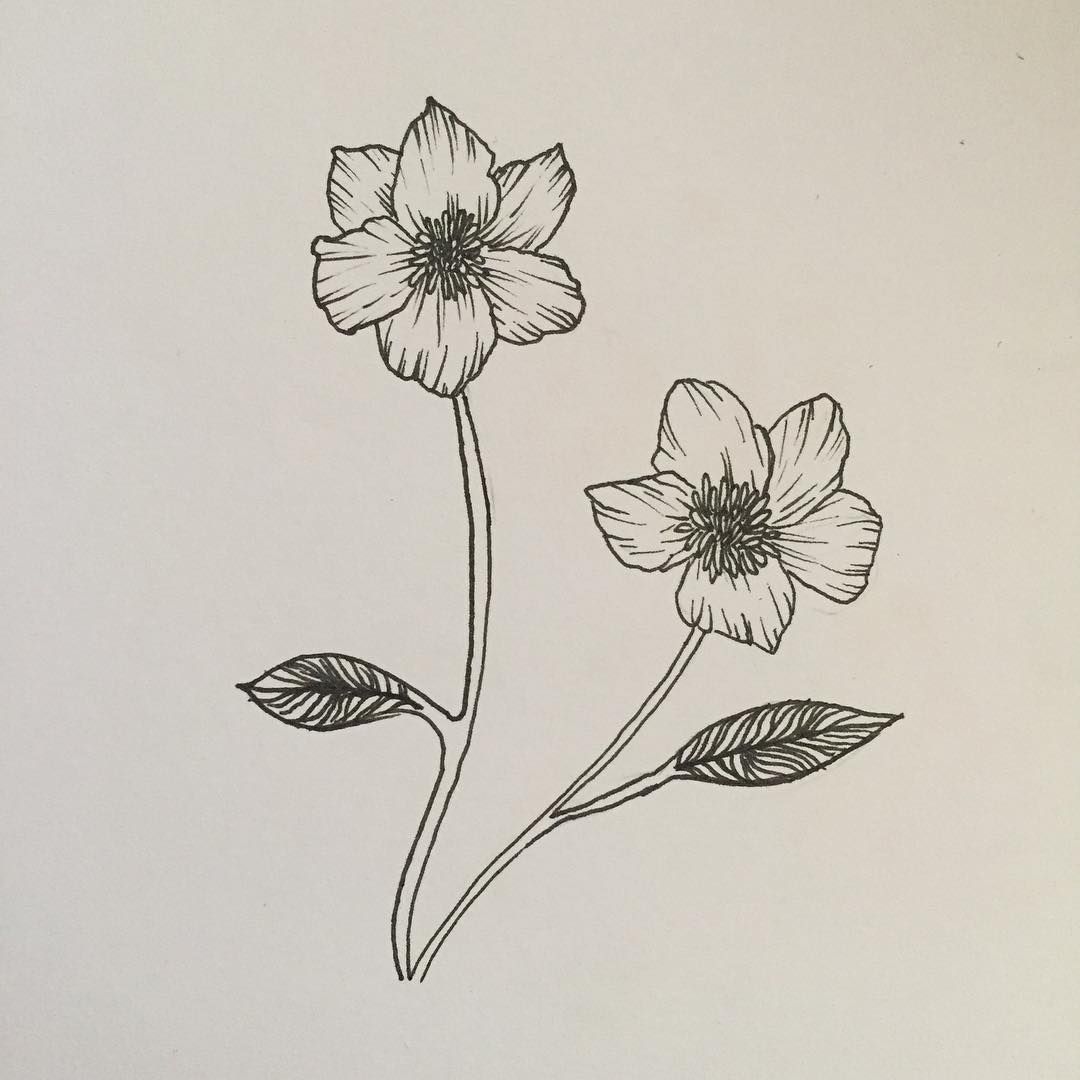 1080x1080 Flower Power Today - Flower Power Sketch