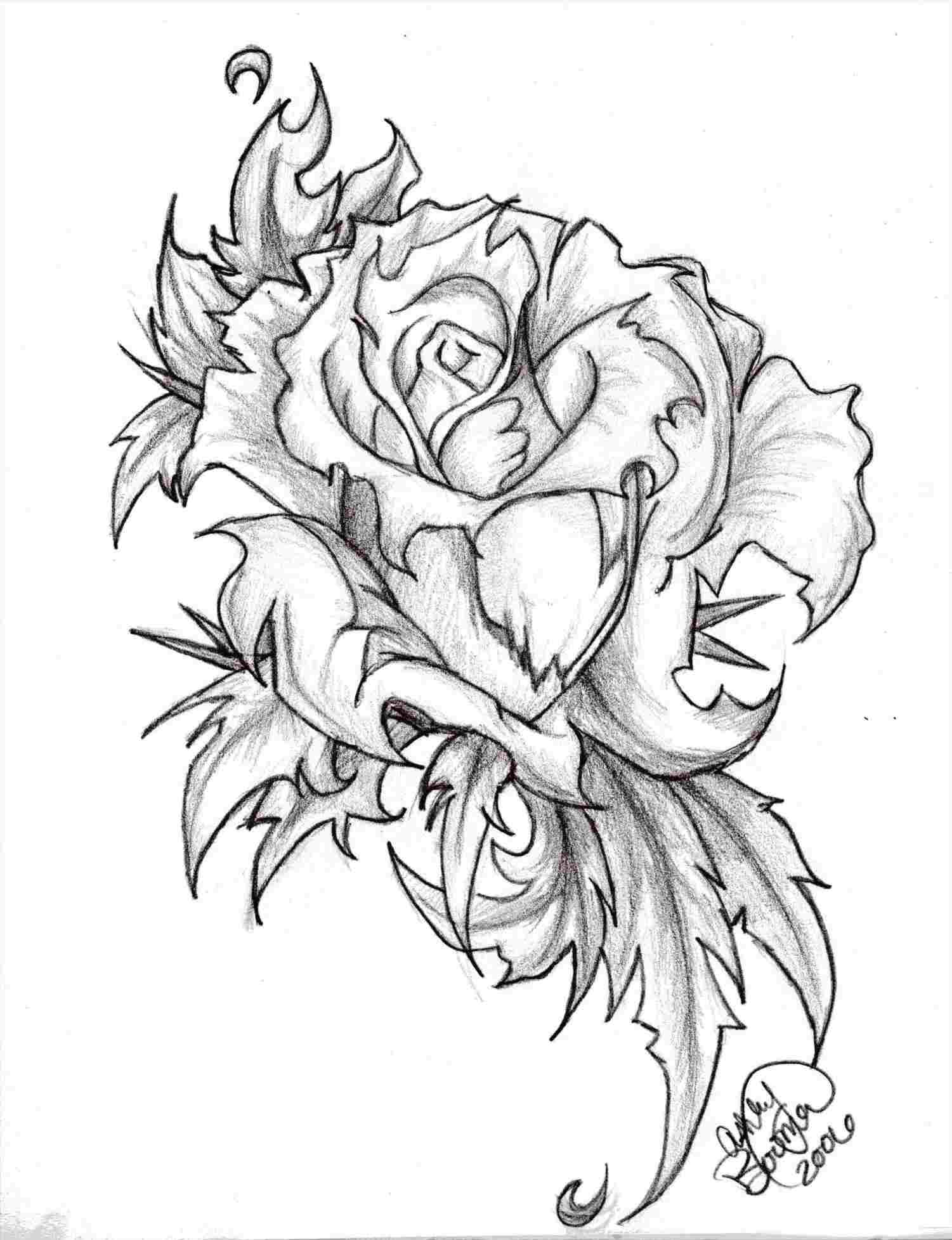 1501x1955 Flower Rose Easy Heart Drawing Pictures - Flower Rose Sketch