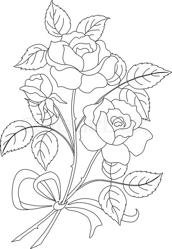 555x800 Flowers Rose, Contour Stock Vector Colourbox - Flower Rose Sketch