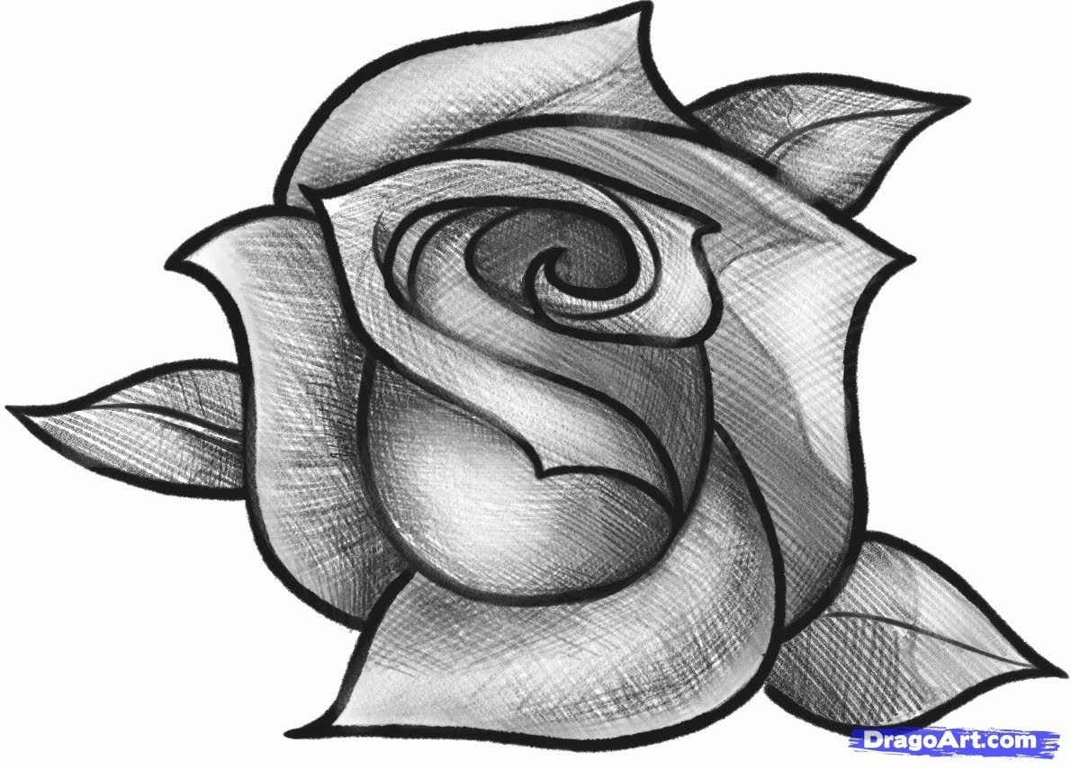 1190x855 Pencil Drawing Of Rose Flower Easy Pencil Sketch Flower Rose - Flower Rose Sketch