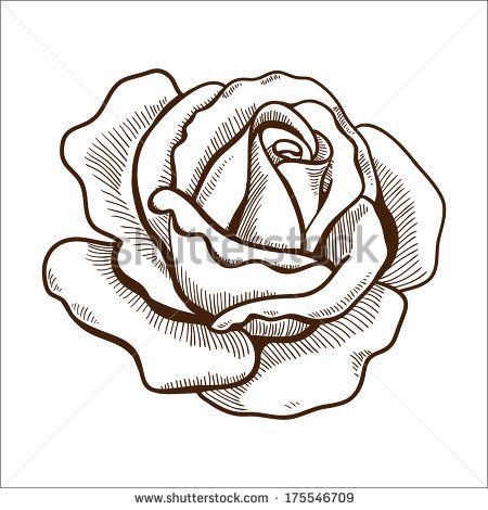 450x470 Photos Flower Rose Sketch, - Flower Rose Sketch