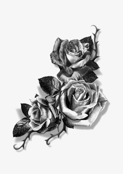 424x600 Rose Sketch, Rose Clipart, Rose, Flowers Png Image And Clipart For - Flower Rose Sketch