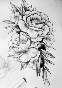 Snapdragon Flower Sketch at PaintingValley.com | Explore collection of ...