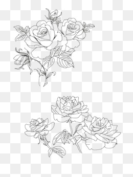 260x346 Flower Sketch Png, Vectors, Psd, And Clipart For Free Download - Flower Sketch