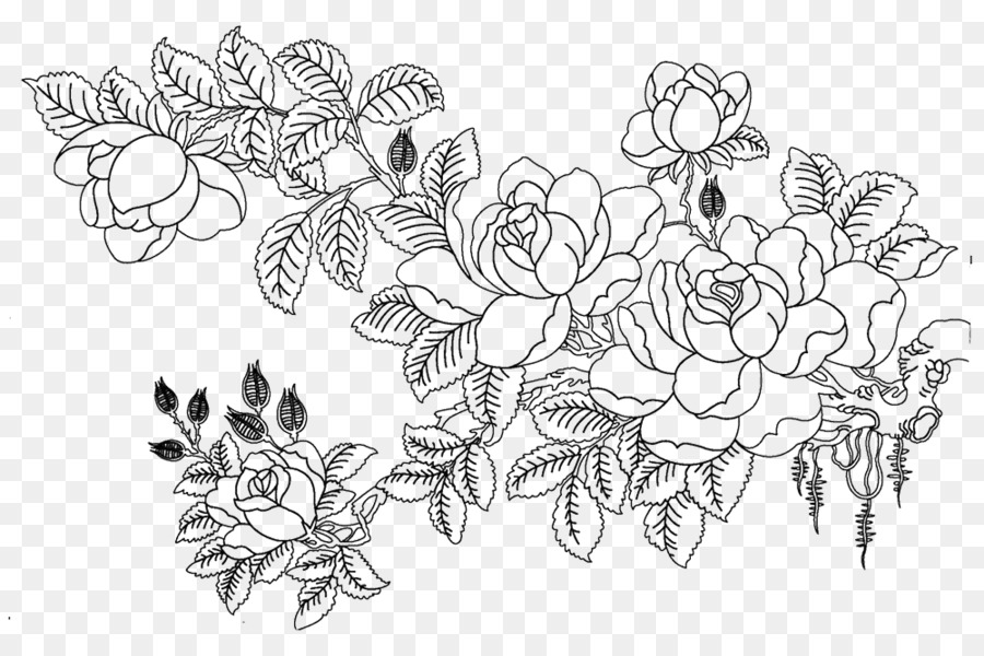 900x600 Rosa Multiflora Drawing Flower Sketch - Flower Sketch