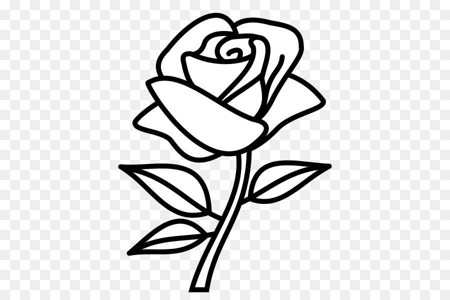 900x600 Drawing Rose Flower Sketch - Flower Sketch Art