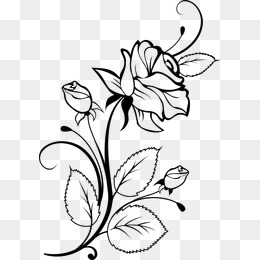 260x260 Flower Sketch Png, Vectors, Psd, And Clipart For Free Download - Flower Sketch Art