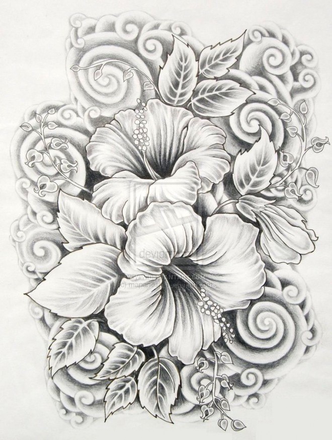 660x873 35 Beautiful Flower Drawings And Realistic Color Pencil Drawings - Flower Sketch Art