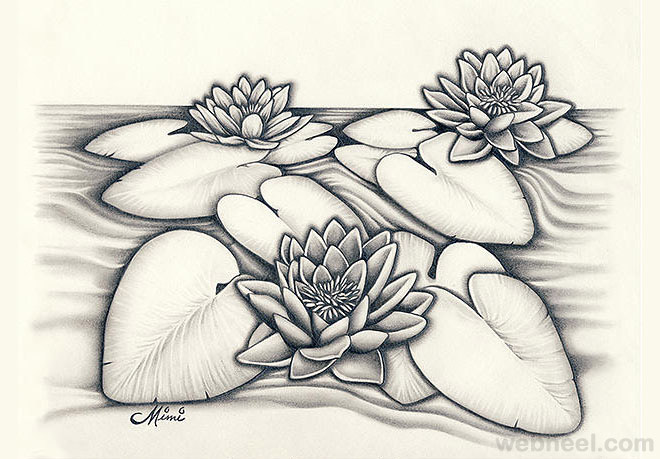 660x459 45 Beautiful Flower Drawings And Realistic Color Pencil Drawings - Flower Sketch Art