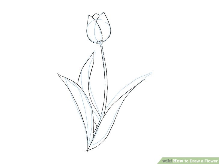 728x546 9 Easy Ways To Draw A Flower - Flower Sketch Art