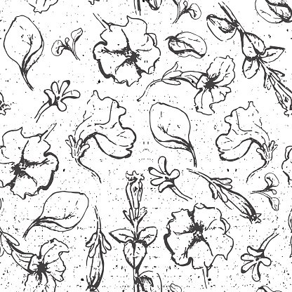 416x416 Seamless Background With Flowers Sketch Premium Clipart - Flower Sketch Background