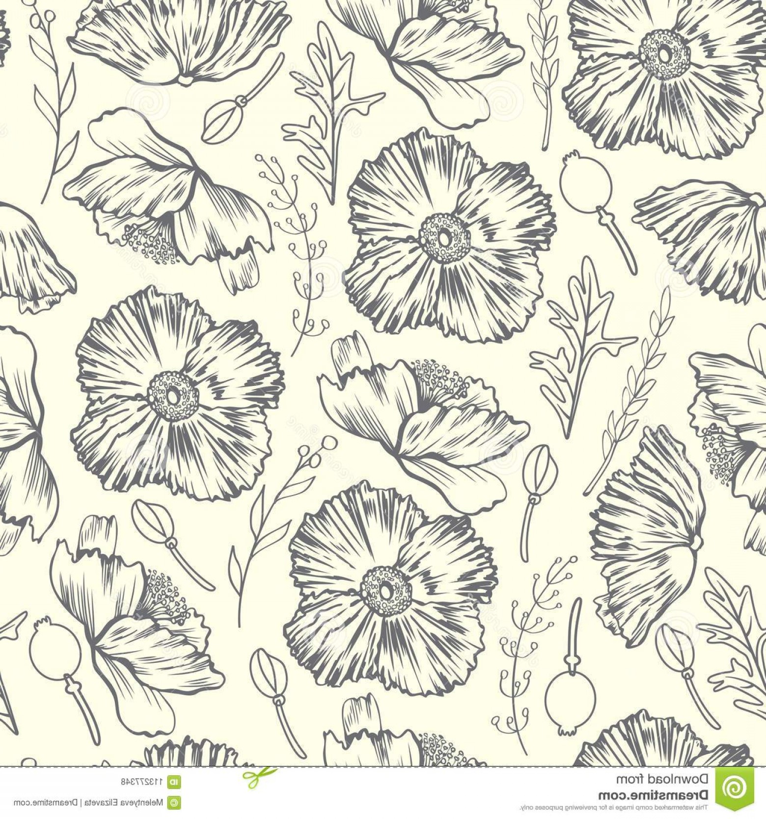 1560x1668 Seamless Floral Vector Pattern Poppy Flower Sketch Hand Drawn - Flower Sketch Background