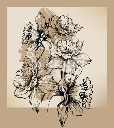 402x450 Flower Sketch Background With Drawing Daffodils Painting - Flower Sketch Background