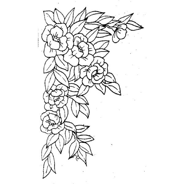 600x600 Liked On Polyvore Featuring Fillers, Drawings, Doodles, Sketch - Flower Sketch Background