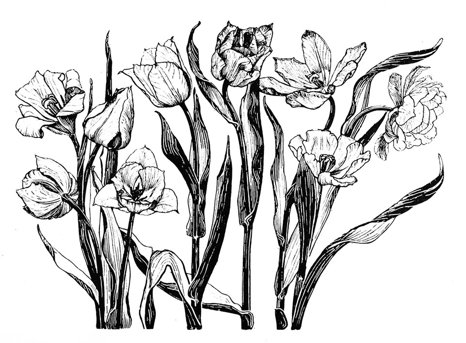 961x709 Flower Sketches - Flower Sketch Black And White