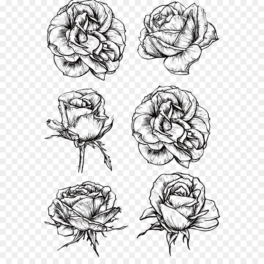900x900 Rose Flower Drawing Sketch - Flower Sketch Black And White