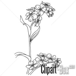 324x324 Clipart Flowers Sketch Style Coloriages Sketches - Flower Sketch Clipart