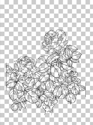 310x415 29,437 Flowers Line Drawing Png Cliparts For Free Download Uihere - Flower Sketch Clipart