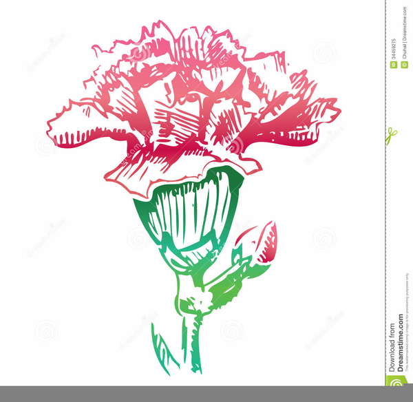 600x584 Flower Sketch Clipart Free Images - Flower Sketch Clipart