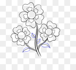 260x240 Flower Sketch Png Amp Flower Sketch Transparent Clipart Free - Flower Sketch Clipart