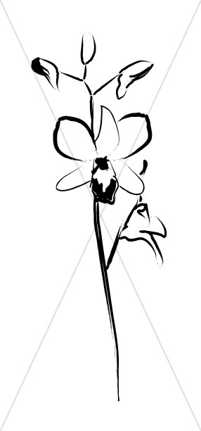 286x612 Summer Floral Sketch Church Flower Clipart - Flower Sketch Clipart