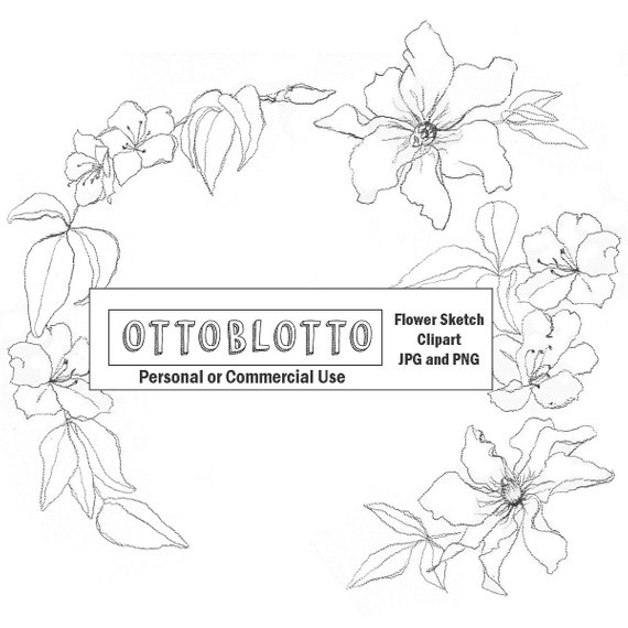 570x570 Boho Clipart Sketched Flowers Hand Drawn Line Drawing Flowers Etsy - Flower Sketch Clipart