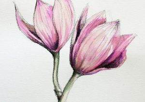 300x210 Drawings Of Colour Flowers Sketch Image For Flower And Colour - Flower Sketch Color