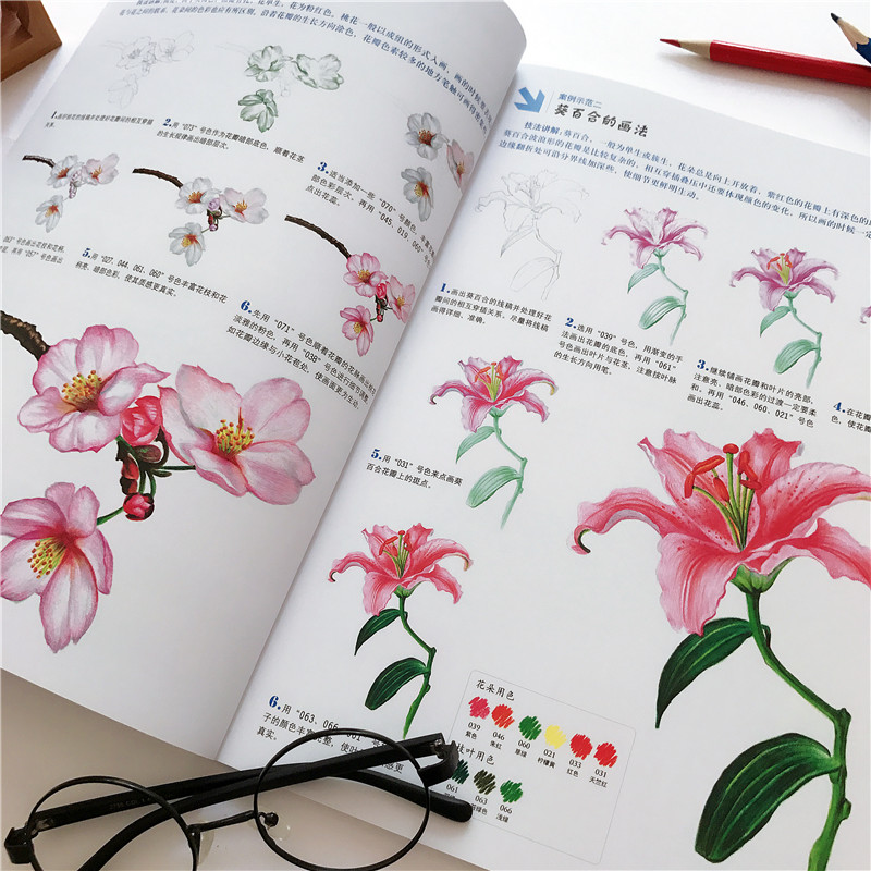 800x800 Genuine New Book Color Pencil Drawing All 4 Animal Fruits Food - Flower Sketch Color