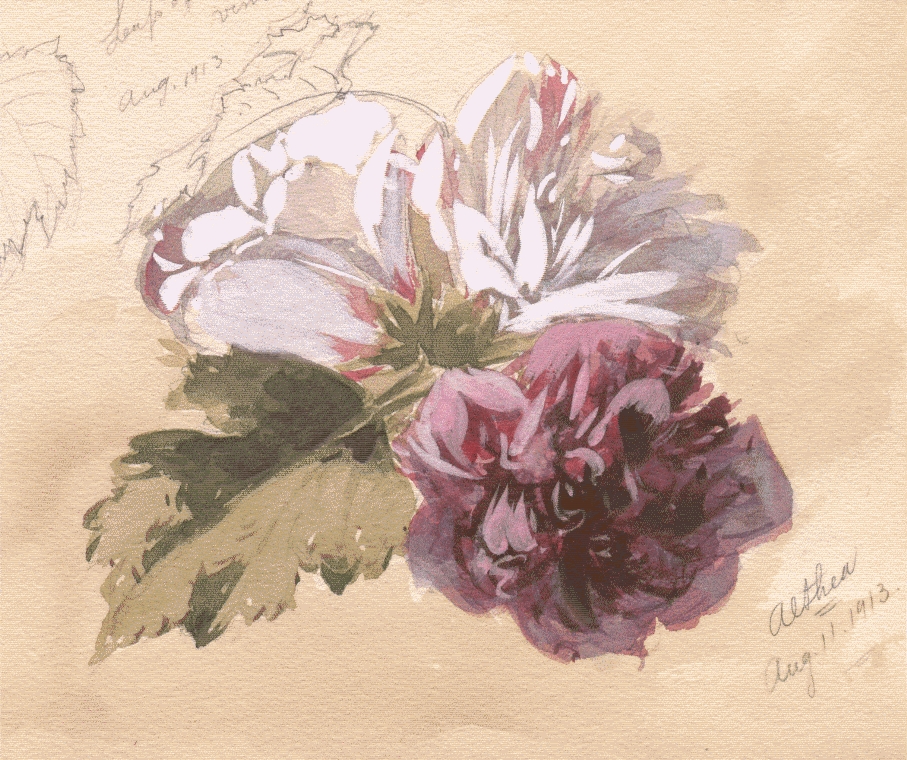 Flower Sketch Color at PaintingValley.com | Explore collection of ...