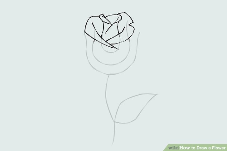 Flower Sketch Drawing