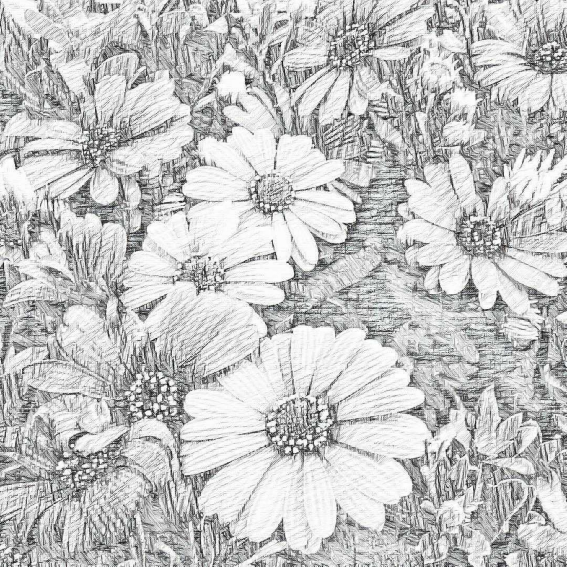 1920x1920 Flowers,sketch,pencil,drawing,plants - Flower Sketch Drawing