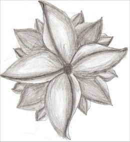 260x284 Pencil Drawing For Beginners Doodles Easy Sketches - Flower Sketch Easy
