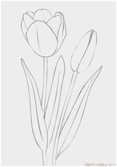 Flower Sketch For Kids at PaintingValley.com | Explore collection of ...