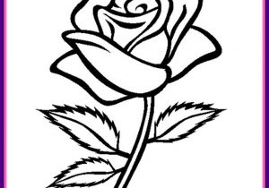 300x210 Rose Flower Drawing Images Pictures Rose Flower Sketch Hd Image - Flower Sketch For Kids