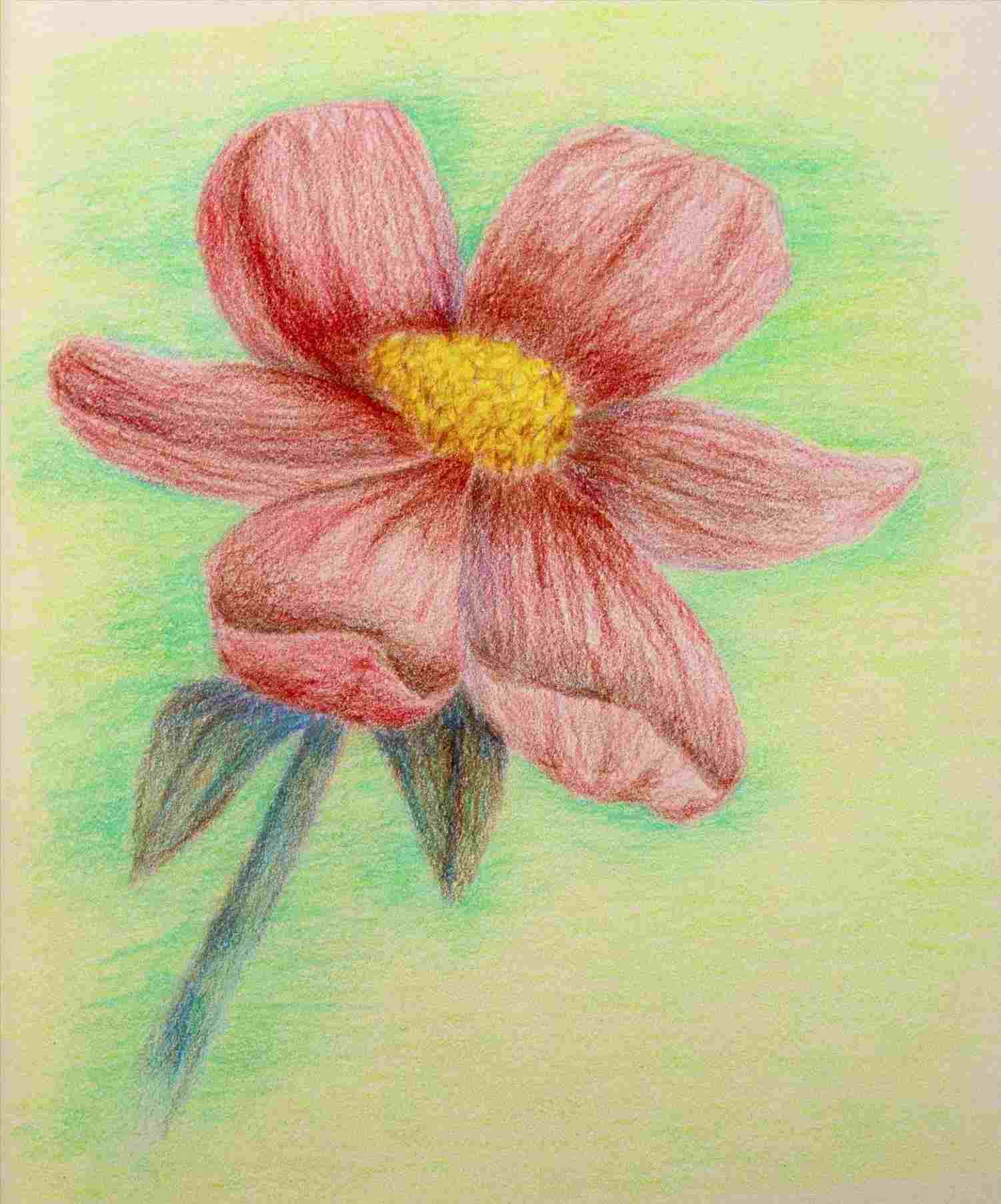 1501x1807 Drawg Easy Drawings Of Flowers In Pencil Tutorial How To Draw - Flower Sketch For Kids