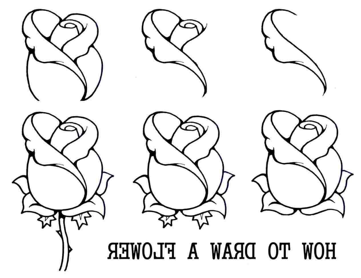 1264x973 Spring Flowers Butterfly On Flower Sketch Www Rhtattoosketchesclub - Flower Sketch For Kids