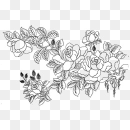 260x260 Flower Sketch Png, Vectors, Psd, And Clipart For Free Download - Flower Sketch Images