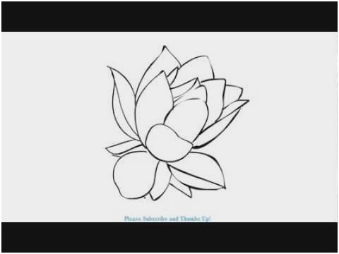 480x360 63 Lovely Pics Of Flower Sketch Tutorial Diy Tutorial - Flower Sketch Images