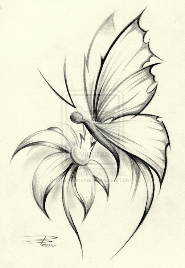 600x866 Drawn Butterfly Flower Sketch - Flower Sketch Images
