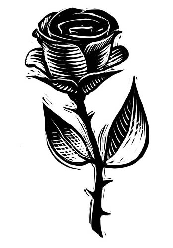 348x500 Aar110yxi Rose Flower Sketch - Flower Sketch Rose