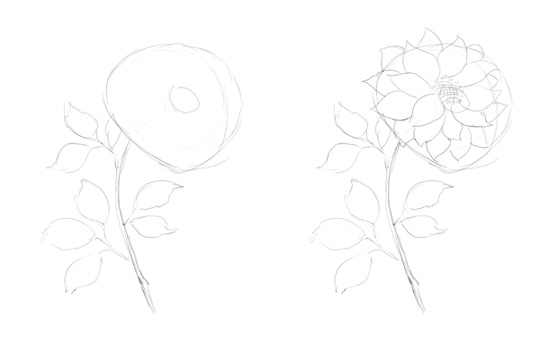 540x350 How To Draw A Beautiful Rose Flower Step By Step - Flower Sketch Step By Step